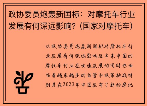 政协委员炮轰新国标：对摩托车行业发展有何深远影响？(国家对摩托车)