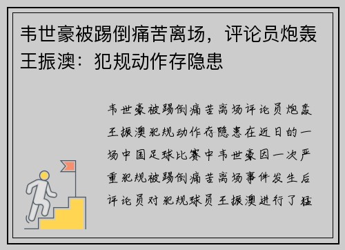 韦世豪被踢倒痛苦离场，评论员炮轰王振澳：犯规动作存隐患